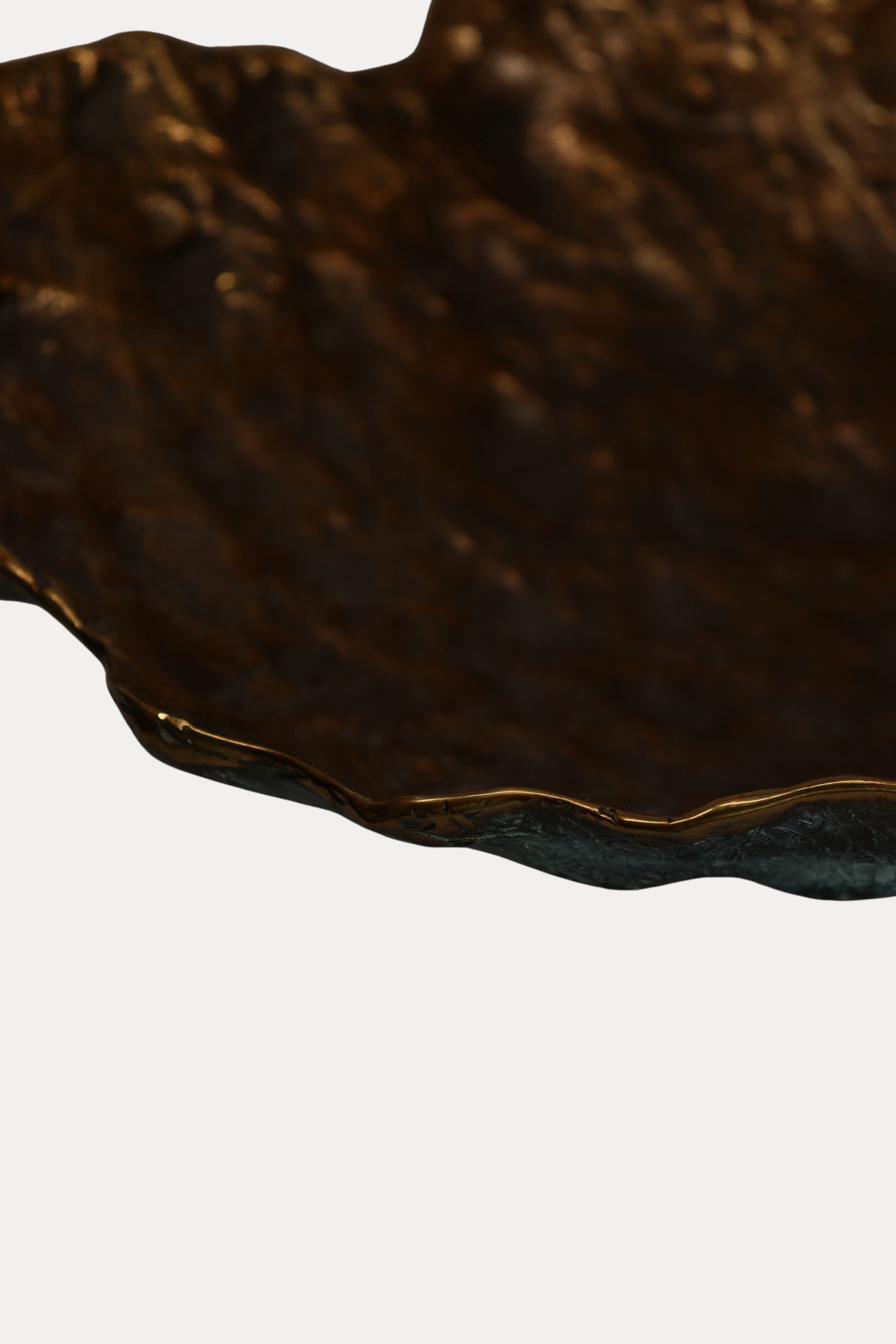 Misa Muszla Piotr Garstka - obrazek 13