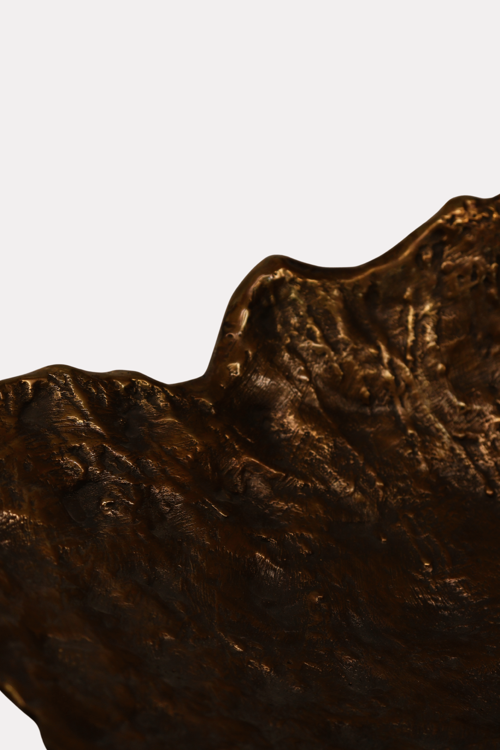 Misa Muszla Piotr Garstka - obrazek 12