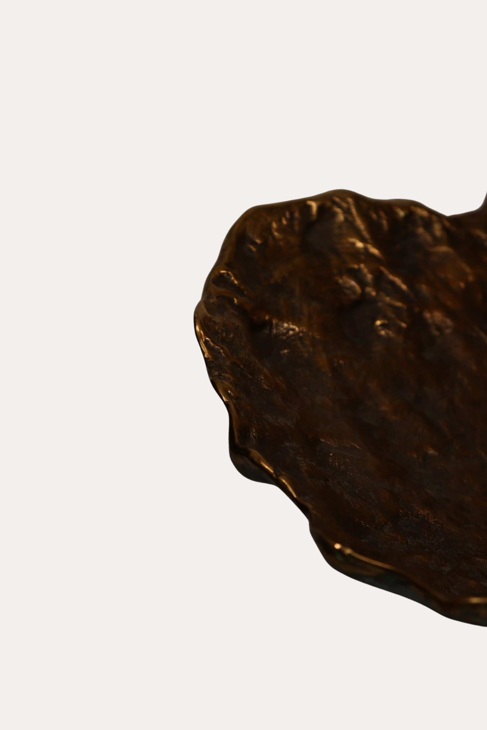 Misa Muszla Piotr Garstka - obrazek 11