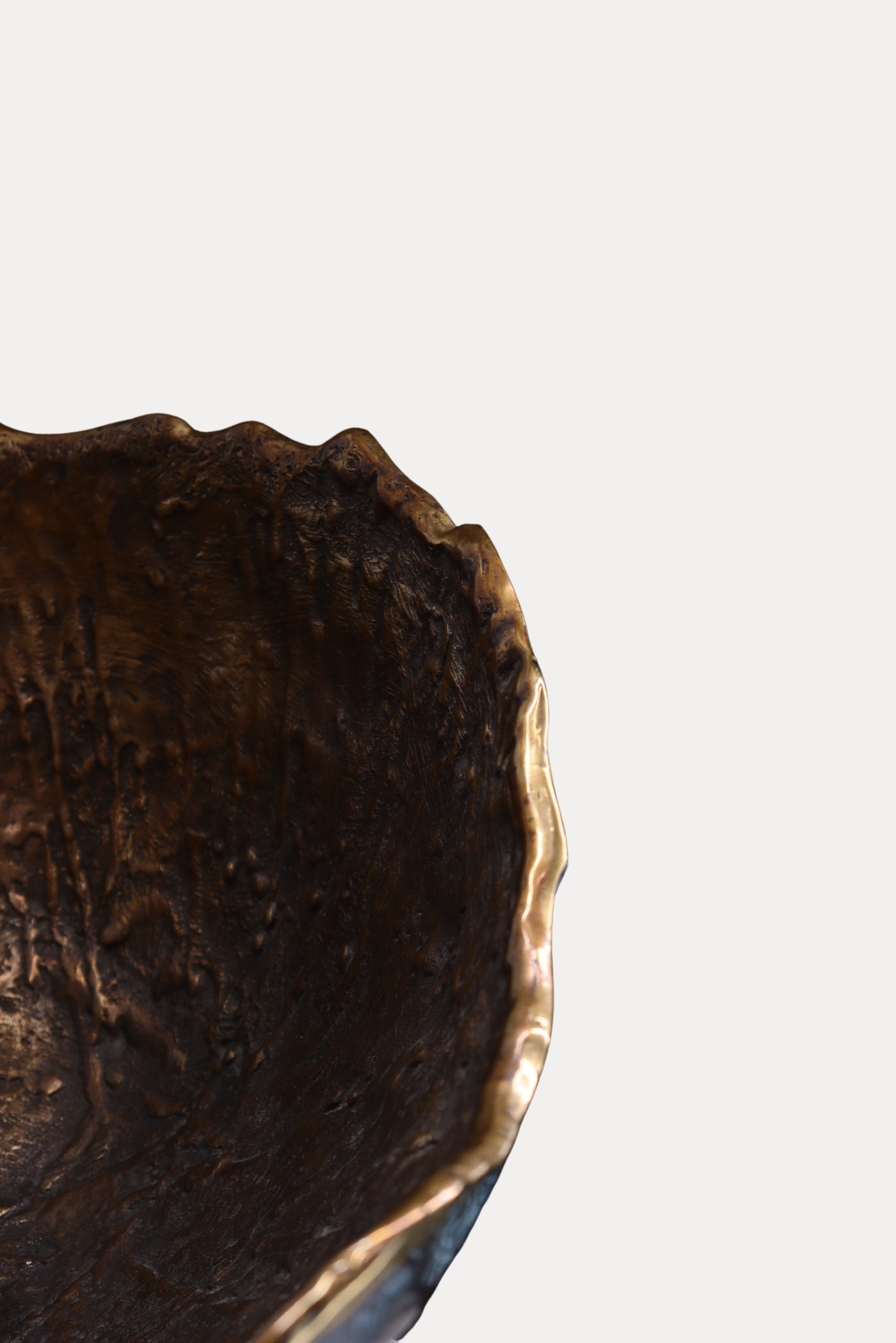 Misa Muszla Piotr Garstka - obrazek 9