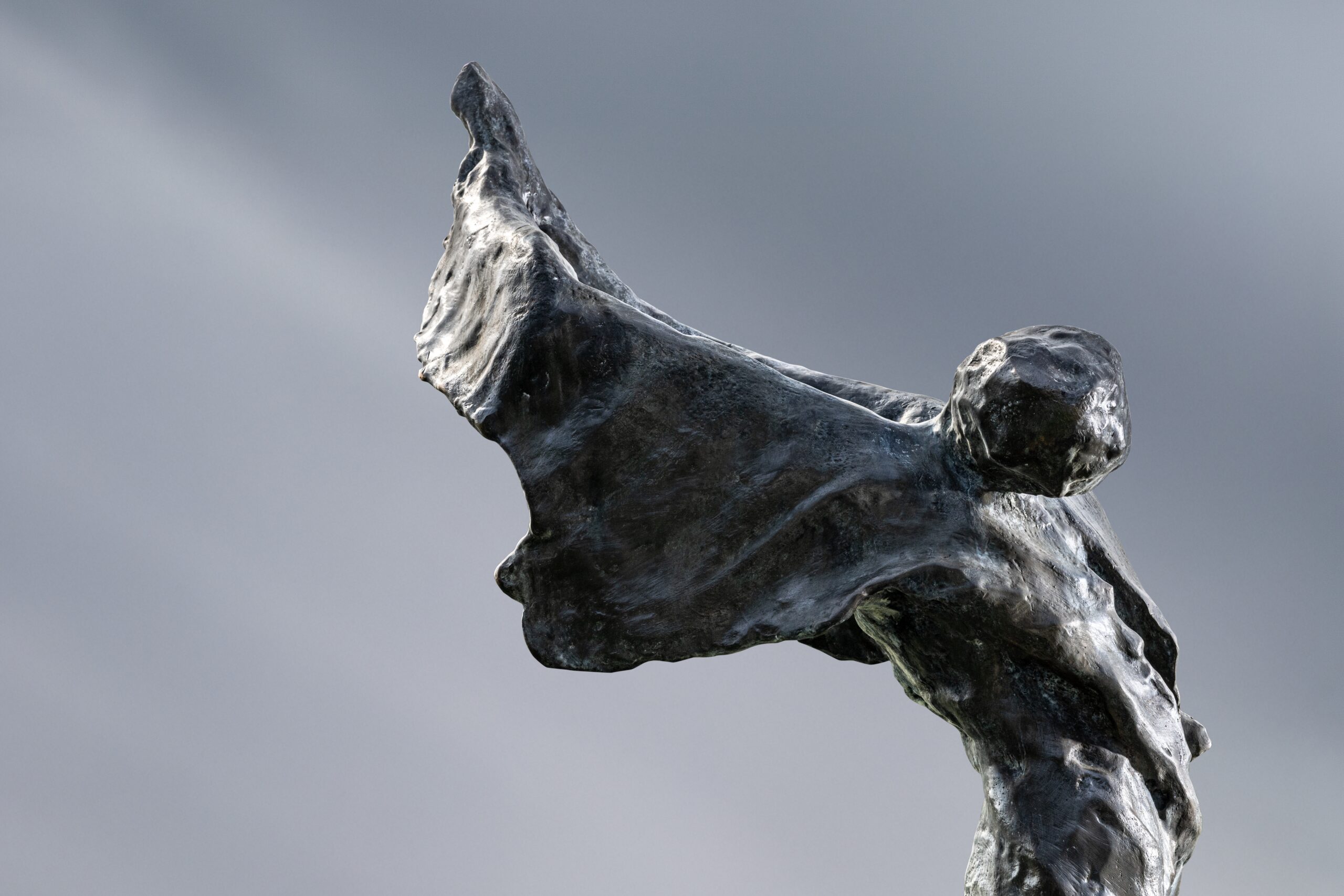 Icarus 150cm Piotr Garstka - Image 2